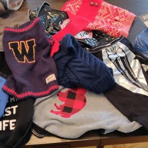 Dog sweaters size small